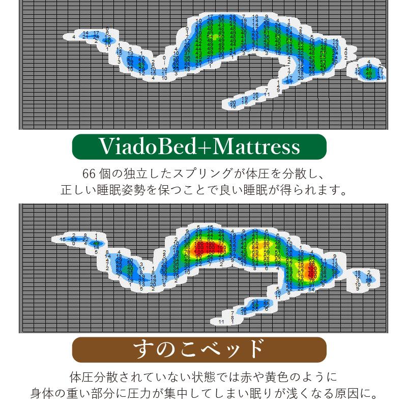 ボディドクター Froli フローリー ポイントサポート ベッド Viado