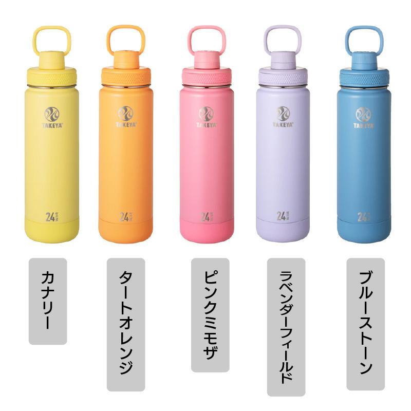 TAKEYA（タケヤ） 水筒 0.7L 公式 フラスク アクティブライン 0.7L 直