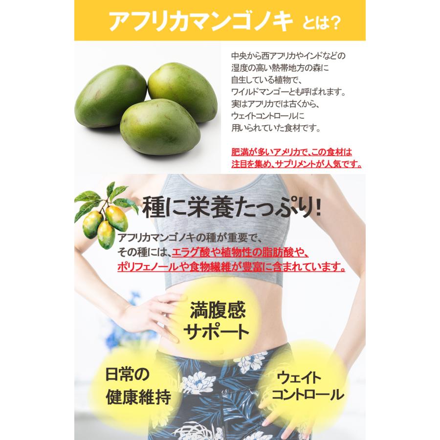 アフリカマンゴノキサプリメント30粒 ダイエット サプリ ワイルド