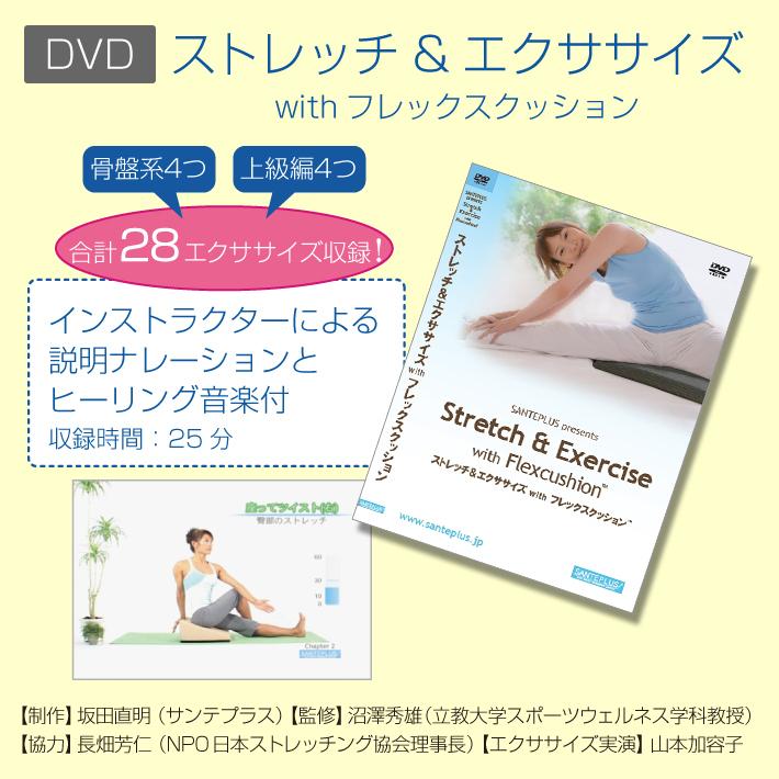 フレックスクッション＋DVD」のセット : サンテプラスYahoo!店 - 通販