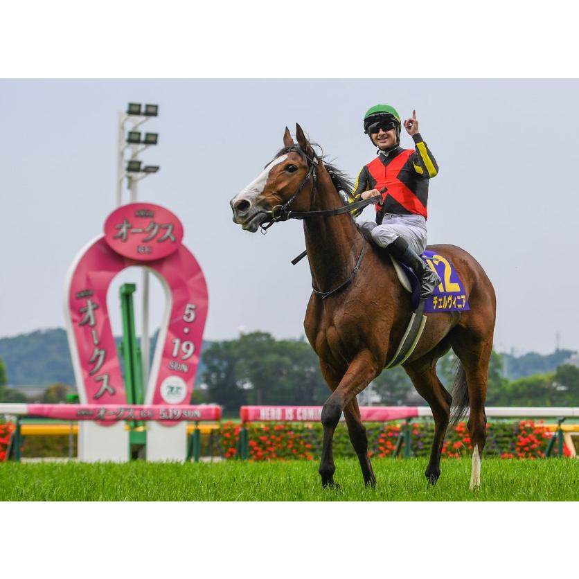 チェルヴィニア ぬいぐるみ Sサイズ アイドルホース 競馬グッズ 第85回