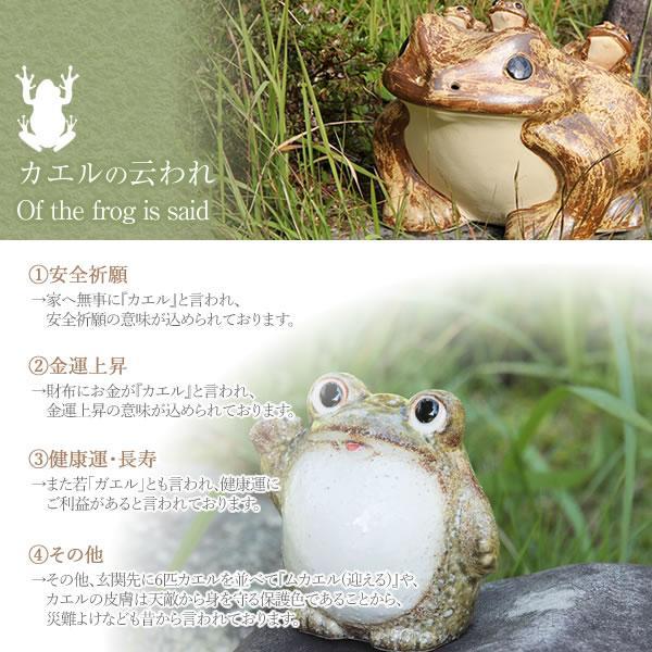 信楽焼 9号蛙持ち仙人狸 たぬき タヌキ 開運 縁起物 可愛い 陶器 商売