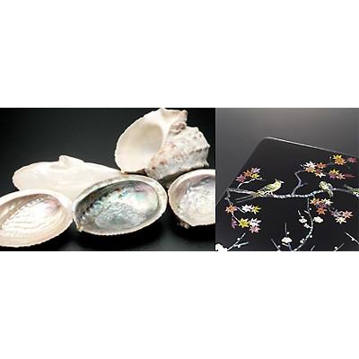 お盆 24cm 木製 トレー あわび貝 螺鈿装飾 丸盆 高岡漆器 黒柄 さくら