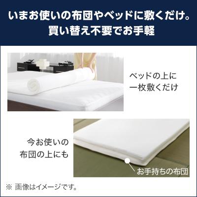 トゥルースリーパー（True Sleeper） 低反発マットレス ライト3.5