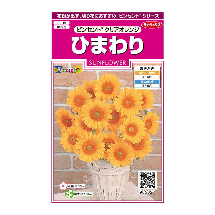 花の種 実咲花5627 ひまわりビンセントクリアオレンジ : STYLE1187