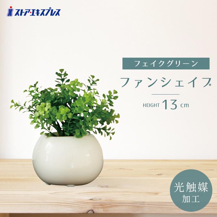 ストア・エキスプレス フェイクグリーン 消臭 観葉植物 フェイク 人工
