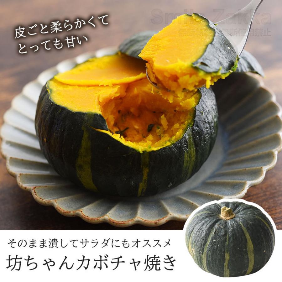 アーネスト（Arnest） 電子レンジ 焼き芋器 いもまる 日本製 レンジ