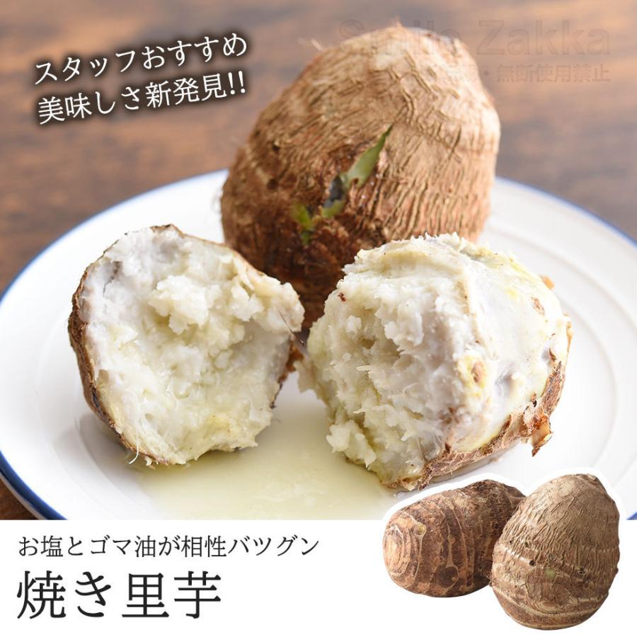 アーネスト（Arnest） 電子レンジ 焼き芋器 いもまる 日本製 レンジ