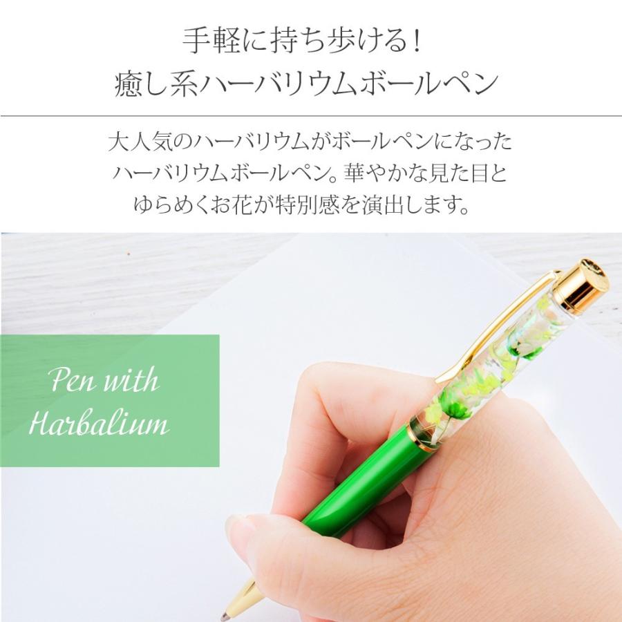2026 ハーバリウム ボールペン 完成品(替え芯3本付き) / プチギフト