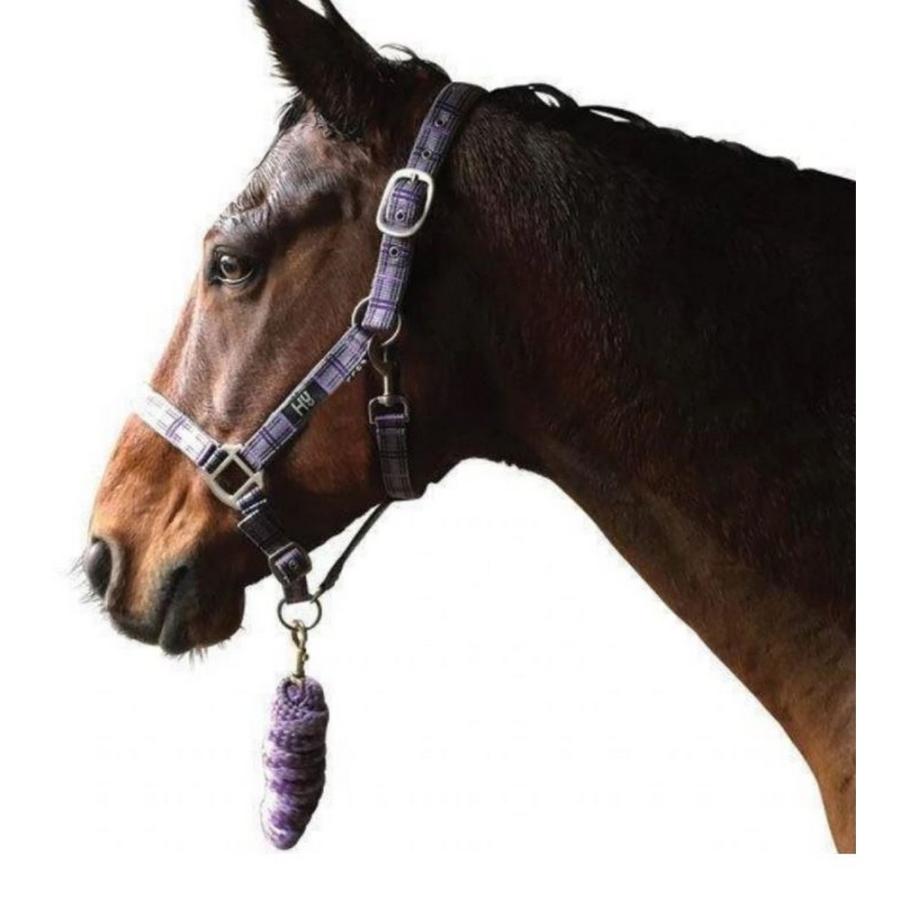 ハイ) Hy 馬用 タータン柄 ヘッドカラー リードロープ付き 馬具 乗馬