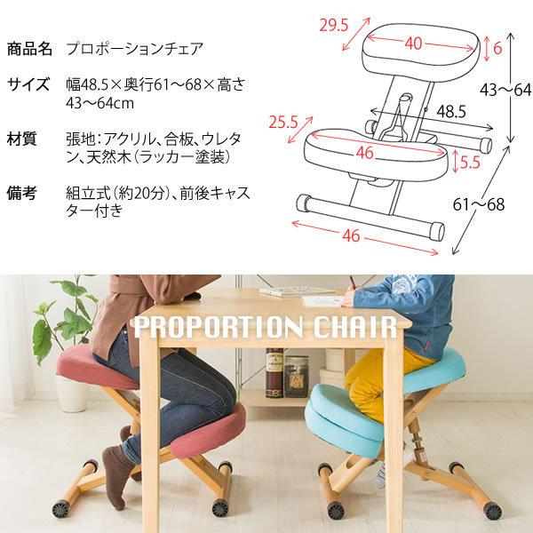 宮武製作所 プロポーションチェア バランスチェア 姿勢矯正 大人 子供