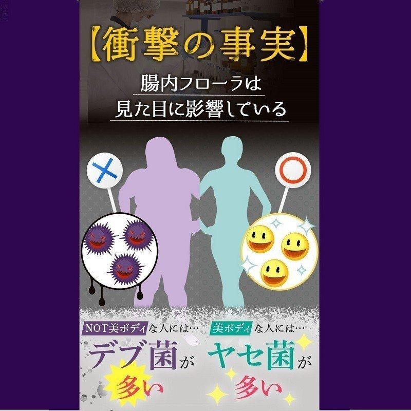 フロルフロラ FLOR FURORA 30粒 ダイエット サプリメント : GANTS FOOD