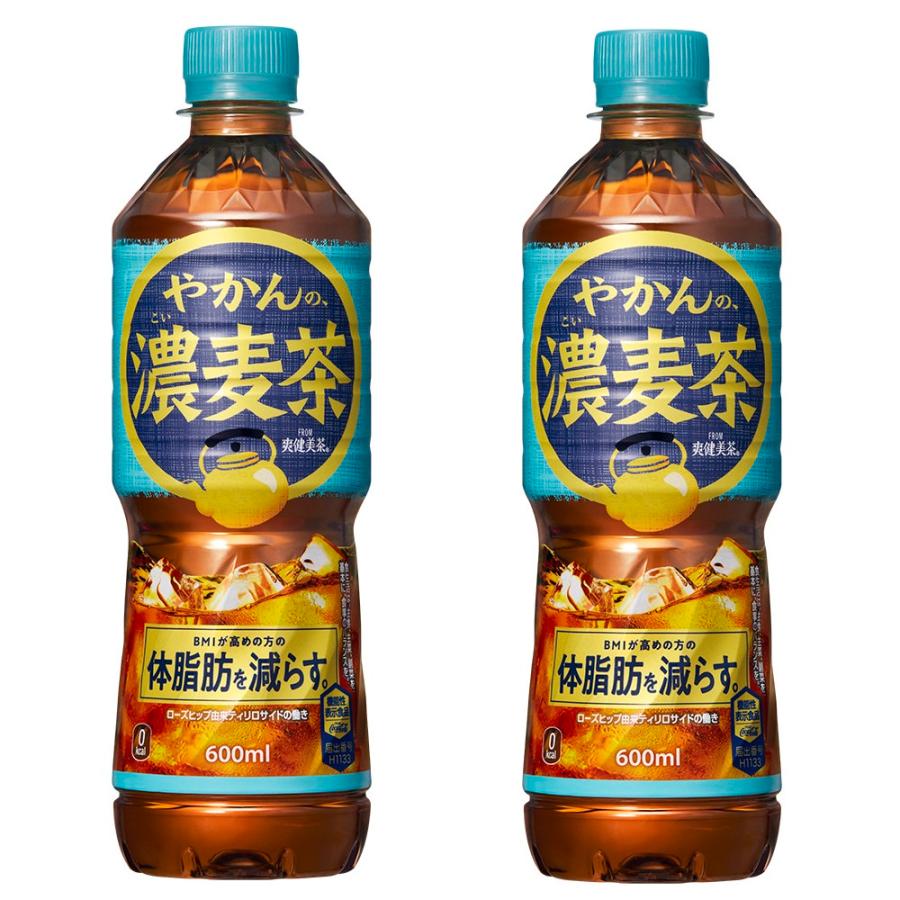 爽健美茶 2ケースセット 即納 送料無料 (地域限定) 機能性 やかんの濃