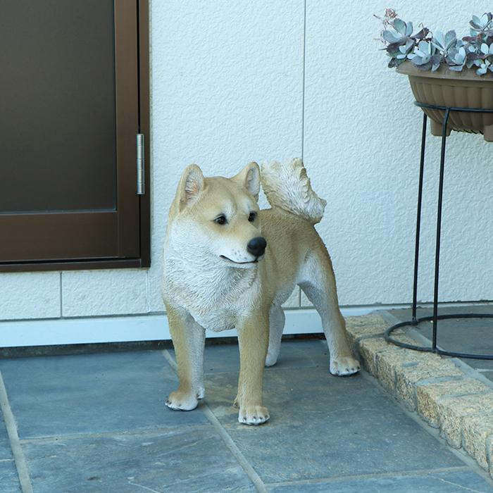 置物 犬 柴犬 玄関用 本物そっくり 実物大 リアル ドッグ オブジェ