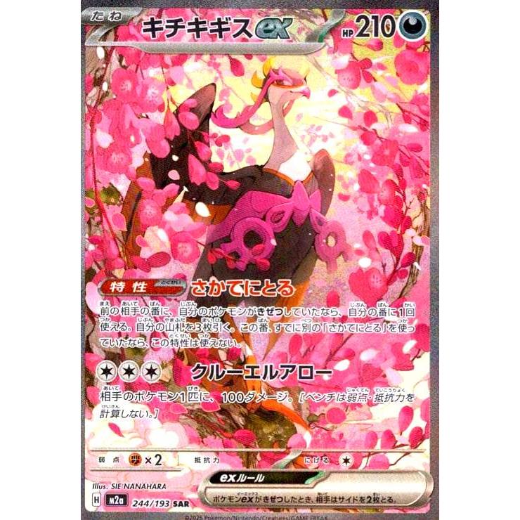キチキギス(SAR)(244/193) ポケモンカード : トレカショップ竜のしっぽ