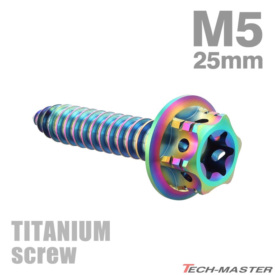 TECHーMASTER（テックマスター） チタンネジ M5×25mm タッピングビス