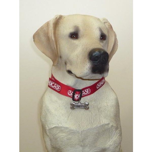 Labrador Retriever（ラブラドールリトリーバー） サンディキャスト