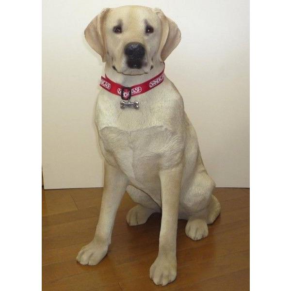 Labrador Retriever（ラブラドールリトリーバー） サンディキャスト