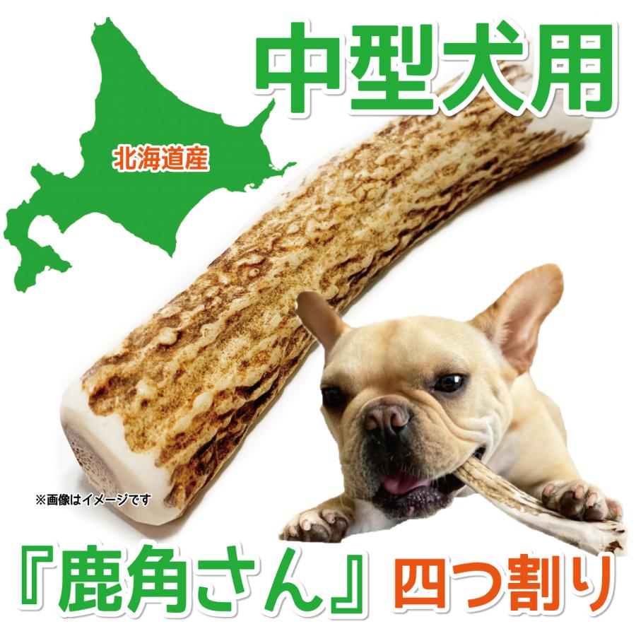 鹿の角 中型 犬 用 鹿角さん 四つ割り1本 天然 無添加 北海道産 蝦夷