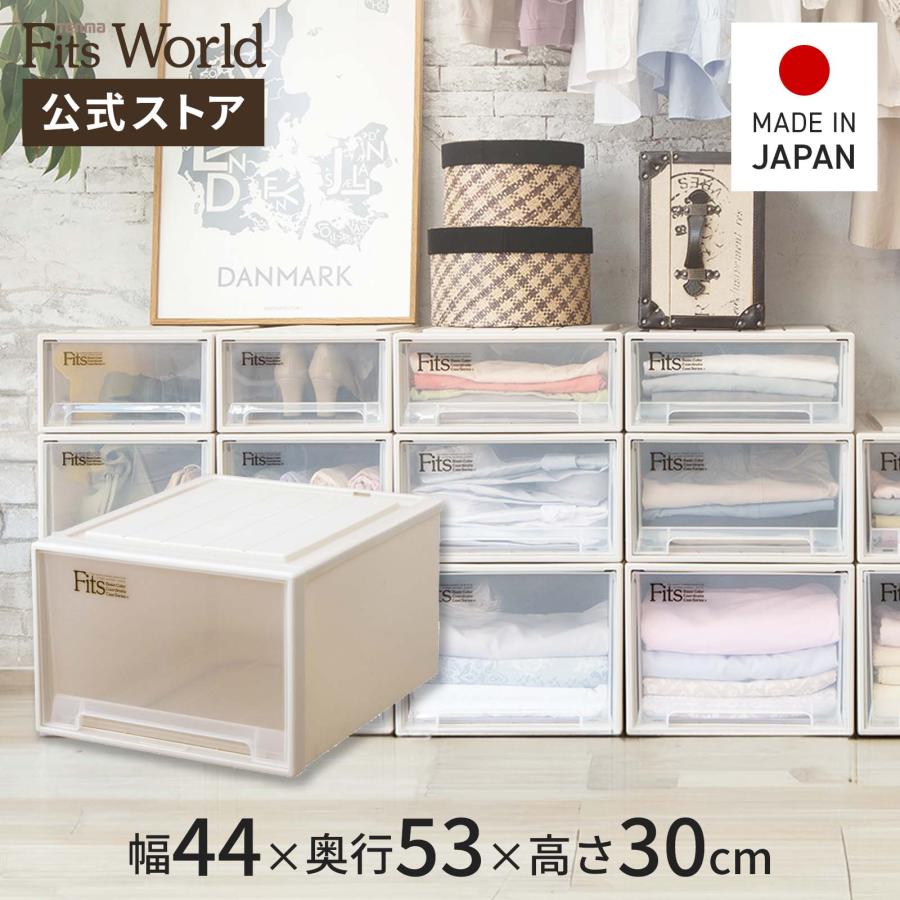 天馬 収納ケース 衣装ケース フィッツケース クローゼット ワイド L-53