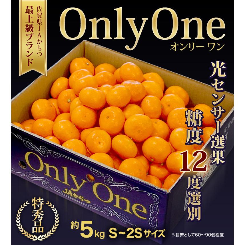 カード・代引限定】糖度12度選別 Only One JAからつ みかん 佐賀県産