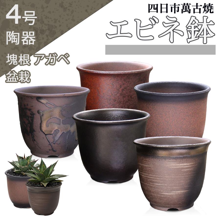 盆栽鉢 エビネ鉢 4号 四日市萬古焼 金彩 黒 赤吹 黒吹 金吹 5色 丸