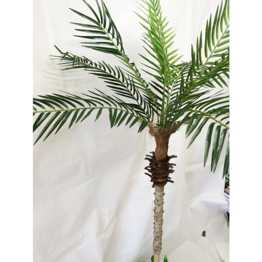 ヤシの木「フェニックスパームツリー」 人工観葉植物全長170cm : 上田