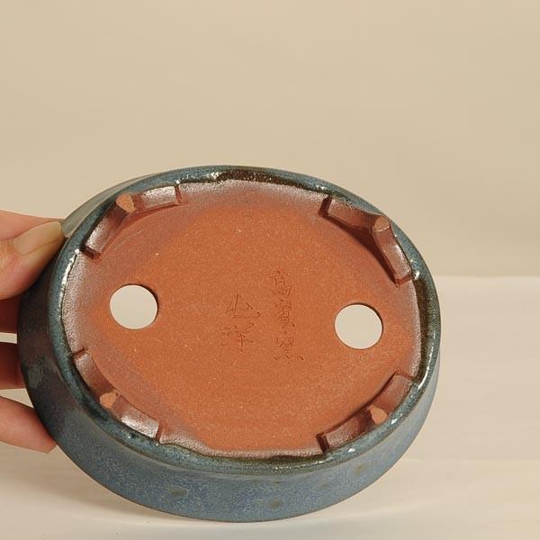 盆栽小鉢：伊藤屯洋(とんよう) 楕円鉢 13.2cm *現品もの 資材 : 遊恵
