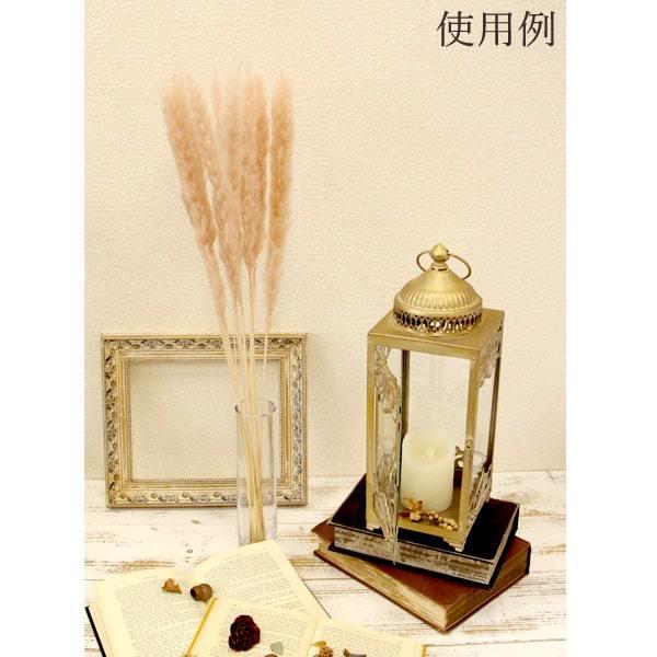 ドライフラワー 花材 即日出荷 テールリード ピンクベージュ パンパス