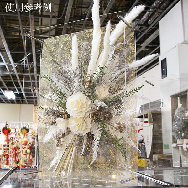 ドライフラワー 花材 即日出荷 テールリード 白 パンパス パンパス系