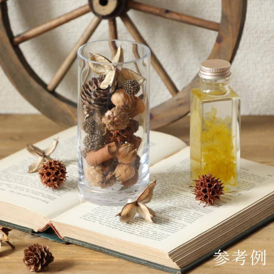 ドライフラワー 花材 即日出荷 FM木の実アソート 6種アソート