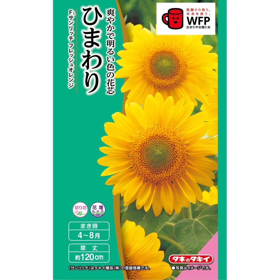 花種 NL300 ひまわり F1 サンリッチ フレッシュ オレンジ 小袋 [FHM515