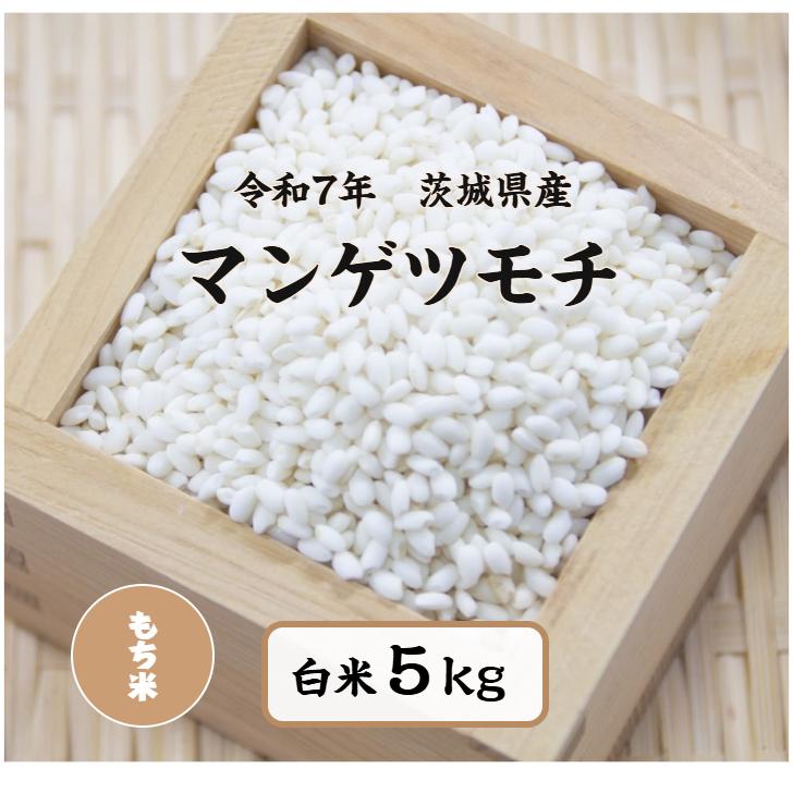 もち米 5kg「7年茨城県産 マンゲツモチ 白米5kg」送料無料 ヤマノ