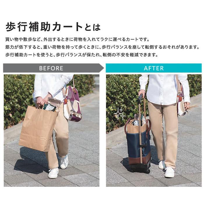Tacaof 幸和製作所 テイコブ おとなりカート ボックスタイプ