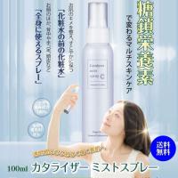 カタライザーミストスプレー 100ml 1本 : くらしの生活雑貨 木の葉