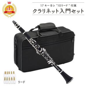 クラリネットセット 本体 初心者セット 17キー B♭ 新品 ベークライト
