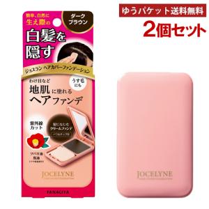ジョスラン 柳屋 ヘアカバーファンデーション ダークブラウン 13g