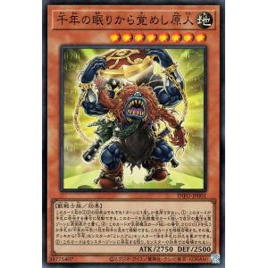 遊戯王オフィシャルカードゲーム デュエルモンスターズ 遊戯王カード