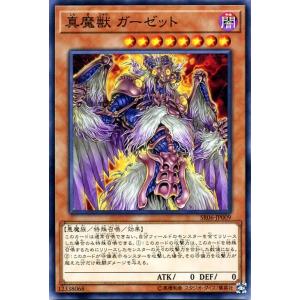 遊戯王オフィシャルカードゲーム デュエルモンスターズ 遊戯王カード