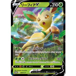 Pokemon（ポケモン） ポケモンカードゲーム プロモーション カイリュー