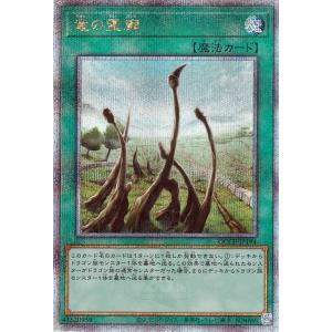 遊戯王オフィシャルカードゲーム デュエルモンスターズ 遊戯王カード
