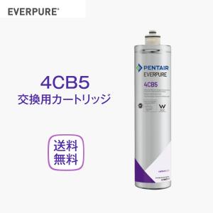 エバーピュア 4DC 浄水器カートリッジ 業務用 : 厨房 キッチンプラス