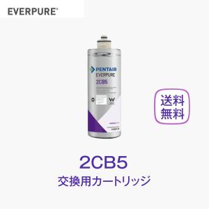 エバーピュア 4FC-S 浄水器カートリッジ 業務用 : 厨房 キッチンプラス
