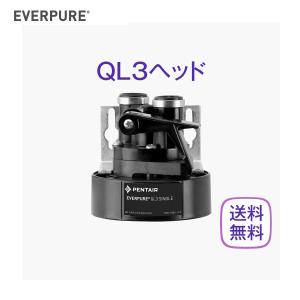 クリタック HK-10GH 脱着式スケール抑制型浄水器 : テルショップ