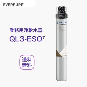 エバーピュア 7FC-S 浄水器カートリッジ 業務用 : 厨房 キッチンプラス