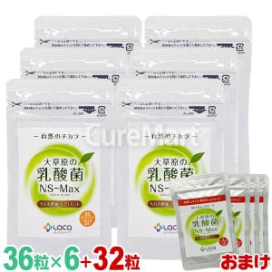 アルタイのNS乳酸菌「新NS-Dx」 : SandS-market - 通販 - Yahoo