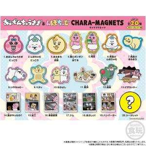 おぱんちゅうさぎ プレゼントBOX入り ぬいぐるみ 約20cm んぽちゃむ