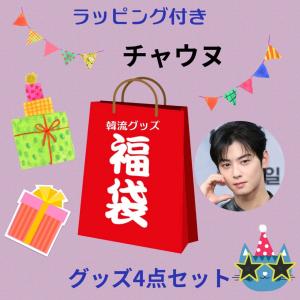 チャウヌ ASTRO アストロ 両面 写真入り キーホルダー 韓流 グッズ