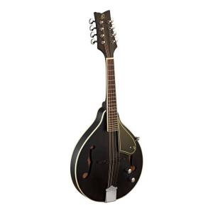 調整済 Aria アリア AM-20E AM20E PU搭載 フラットマンドリン エレキ