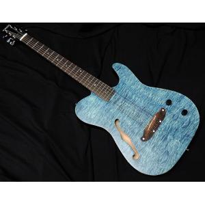 SCHECTER SCHECTER OL-FL-P GO シェクター 薄胴 Fホール エレアコ